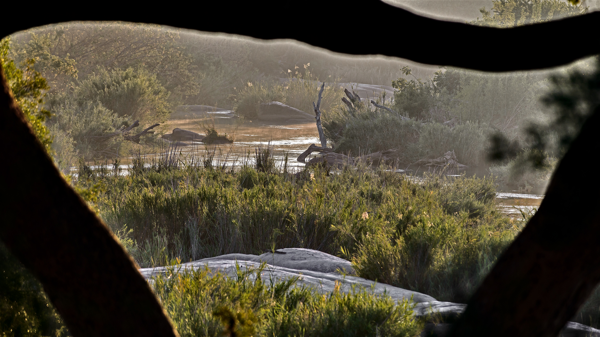 Kruger 071 copia